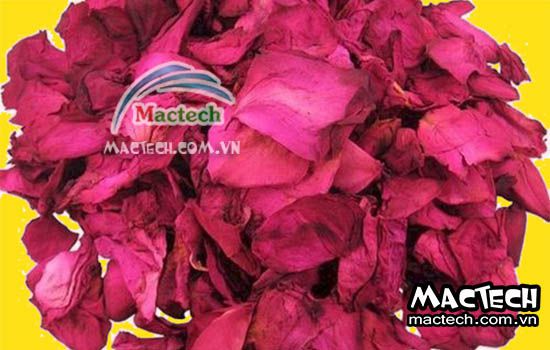 Nhiệt độ sấy cánh hoa hồng bao nhiêu, 50 hay 70 độ C là tốt