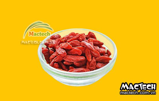 Máy sấy khô kỷ tử Mactech