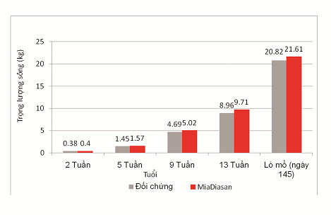 Hình 2: Trọng lượng của gà tây trống ở cuối các giai đoạn vỗ béo khác nhau.