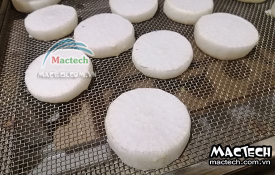 Máy sấy thăng hoa củ cải Mactech
