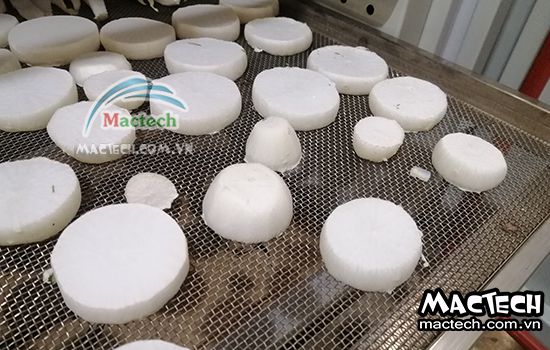 Máy sấy thăng hoa củ cải Mactech