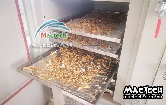 Nhiệt độ sấy củ cải bao nhiêu? sấy 60 độ C hay sấy 90 độ C