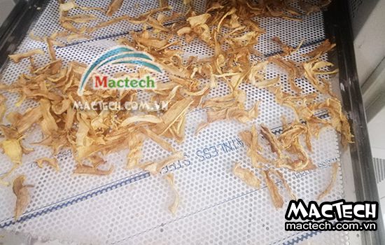 Thời gian sấy khô củ cải bằng máy sấy nhiệt, máy sấy lạnh và máy thăng hoa