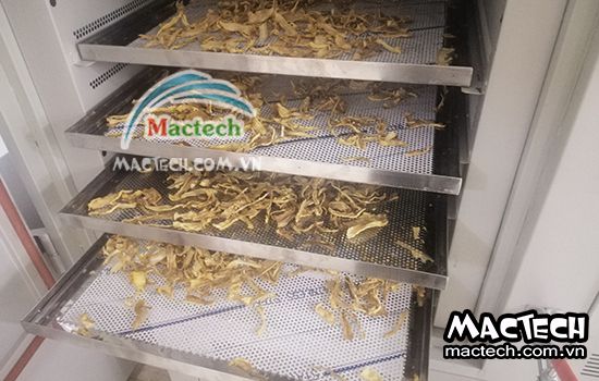 Thời gian sấy khô củ cải bằng máy sấy nhiệt, máy sấy lạnh và máy thăng hoa