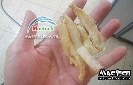 Củ cải sấy bị đen bị cháy là tại sao? Nguyên nhân & hướng khắc phục