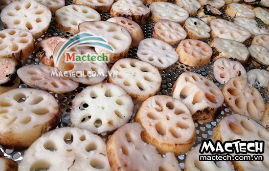 Cách làm củ sen khô tại nhà không cần dùng máy sấy