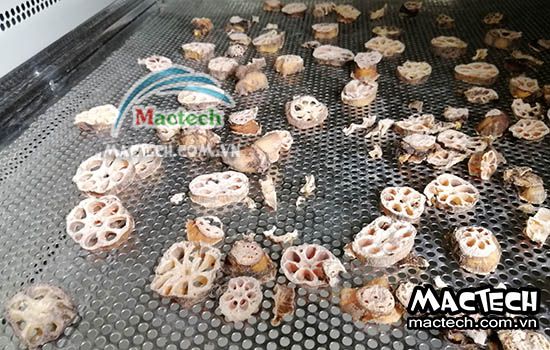 Củ sen sấy giòn thì cần sấy như thế nào, phân biệt các cách sấy giòn