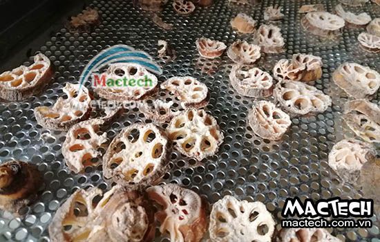 Củ sen sấy lâu khô, nguyên nhân và hướng xử lý tình trạng này