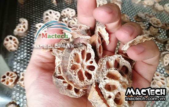 Cách làm củ sen khô tại nhà không cần dùng máy sấy