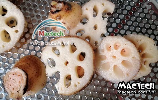 Củ sen sấy bị vàng, nguyên nhân và cách sấy để không bị vàng