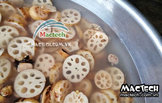 Cách sấy củ sen bằng máy sấy nhiệt, máy sấy lạnh của Mactech