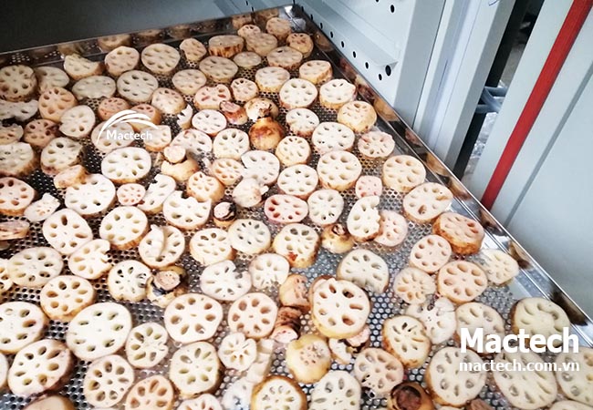 Ứng dụng máy sấy nhiệt độ cao trong sản xuất dược liệu thảo mộc