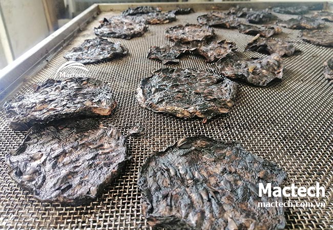 Ứng dụng máy sấy nhiệt độ cao trong sản xuất dược liệu thảo mộc