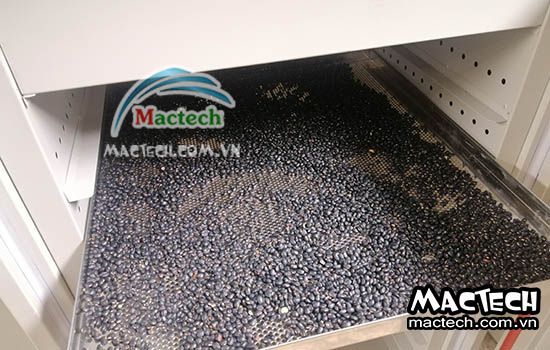 Cách làm đậu đen rang bằng máy sấy nhiệt độ cao Mactech