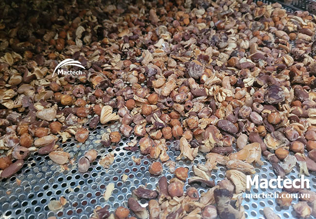 Đậu mix sấy giòn – Xu hướng snack heathy đang bùng nổ trên thị trường