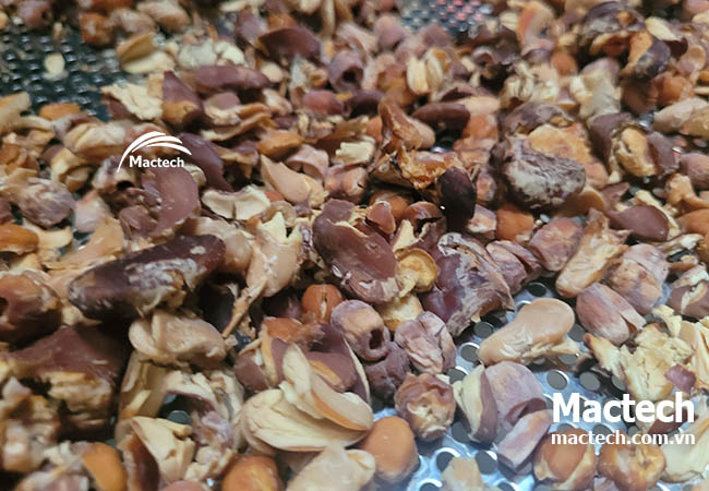 hạt mix sấy giòn