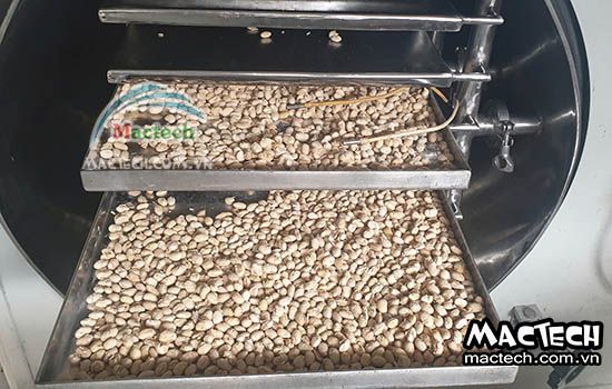 Máy sấy thăng hoa đậu tương Mactech