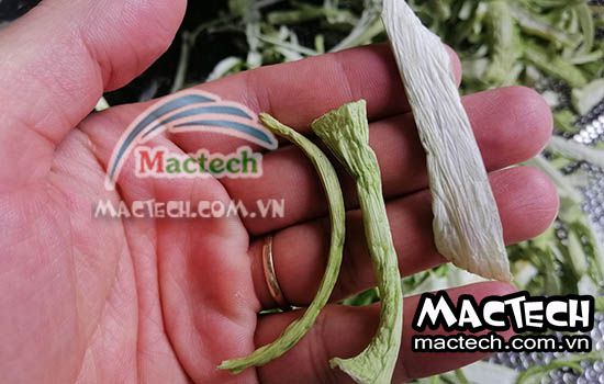 Máy sấy lạnh dọc mùng Mactech, sấy giữ màu đẹp, giữ mùi vị của rau