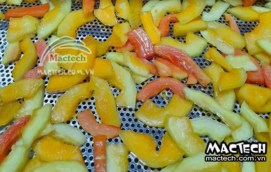 Sấy dẻo là gì? Dùng máy sấy nào để sấy dẻo hoa quả