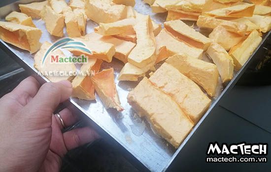 Máy sấy thăng hoa đu đủ Mactech, sấy khô nghiền bột cao cấp