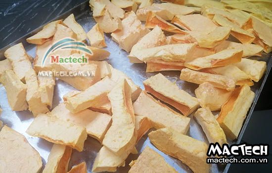 Máy sấy thăng hoa đu đủ Mactech, sấy khô nghiền bột cao cấp