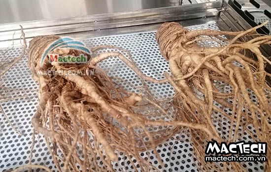 Chọn máy sấy nông sản phù hợp cho doanh nghiệp nhỏ