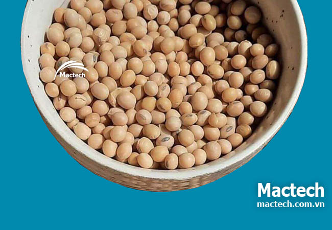 Đậu tương sấy thăng hoa ăn liền