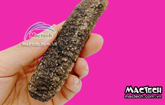 Máy sấy khô hải sâm Mactech, sấy khô, sấy lạnh, sấy thăng hoa