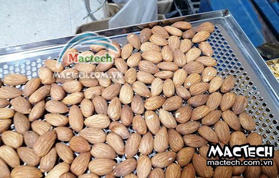 Thời gian rang hạt hạnh nhân bằng máy sấy nhiệt độ cao Mactech