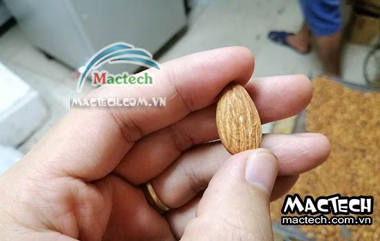 Cách rang chín hạt hạnh nhân bằng máy sấy nhiệt độ cao Mactech