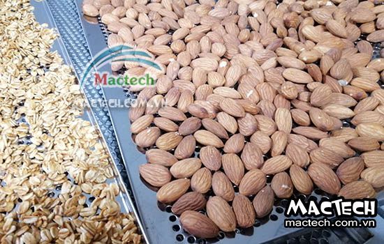 Cách rang chín hạt hạnh nhân bằng máy sấy nhiệt độ cao Mactech