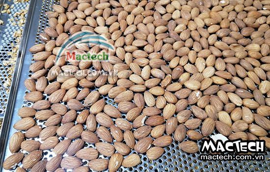 Máy rang sấy hạt hạnh nhân Mactech, sấy khô sấy chín đa năng