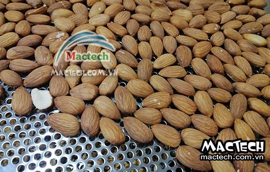 Nhiệt độ rang chín hạt hạnh nhân bằng máy sấy Mactech