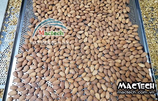 Nhiệt độ rang chín hạt hạnh nhân bằng máy sấy Mactech