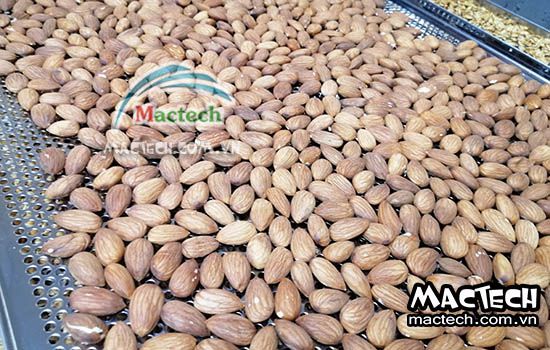 Thời gian rang hạt hạnh nhân bằng máy sấy nhiệt độ cao Mactech