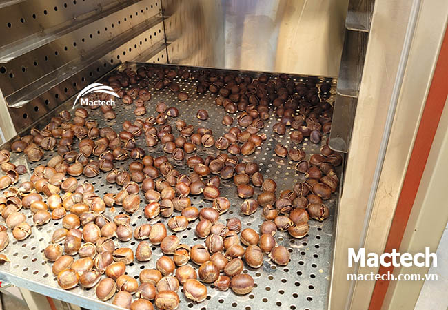 Trải nghiệm sấy thử miễn phí – kiểm chứng chất lượng máy sấy Mactech