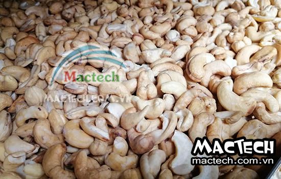 Cách rang hạt điều bằng máy sấy Mactech, hướng dẫn cụ thể từng bước