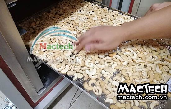 Nhiệt độ sấy khô và nhiệt độ sấy chín hạt điều, những lưu ý bạn cần biết