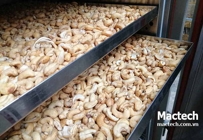 Máy sấy nhiệt độ cao có làm mất chất dinh dưỡng trong thực phẩm không