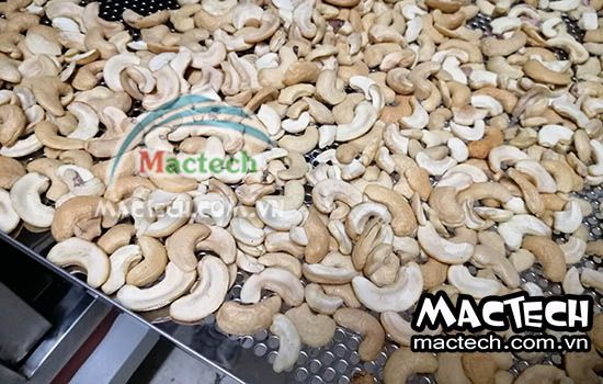 Thời gian sấy khô sấy chín hạt điều bằng máy sấy Mactech