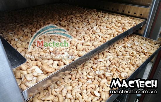 Thời gian sấy khô sấy chín hạt điều bằng máy sấy Mactech