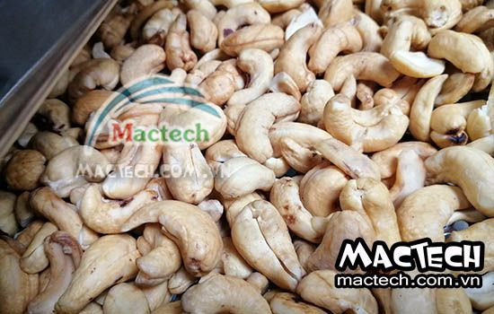 Cách rang hạt điều bằng máy sấy Mactech, hướng dẫn cụ thể từng bước