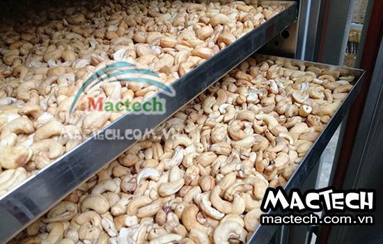 Cách rang hạt điều bằng máy sấy Mactech, hướng dẫn cụ thể từng bước
