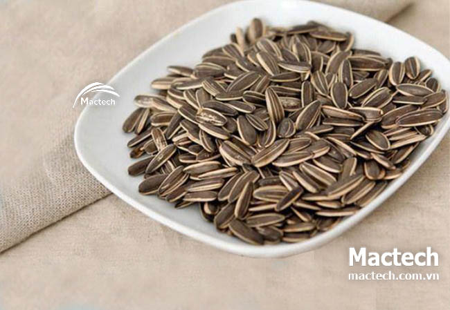 Máy sấy chín hạt hướng dương Mactech