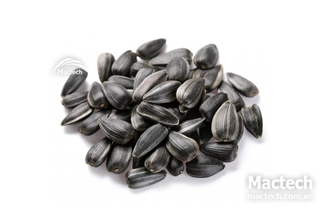 Máy sấy chín hạt hướng dương Mactech