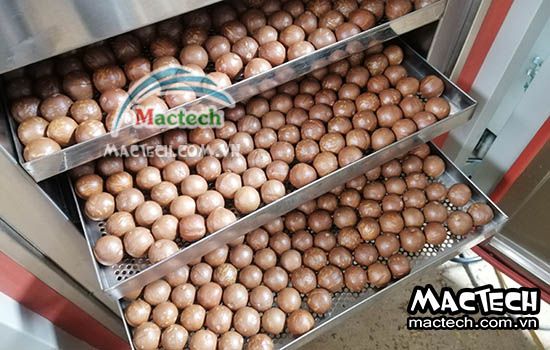 Cách rang sấy hạt macca bằng máy sấy Mactech Việt Nam