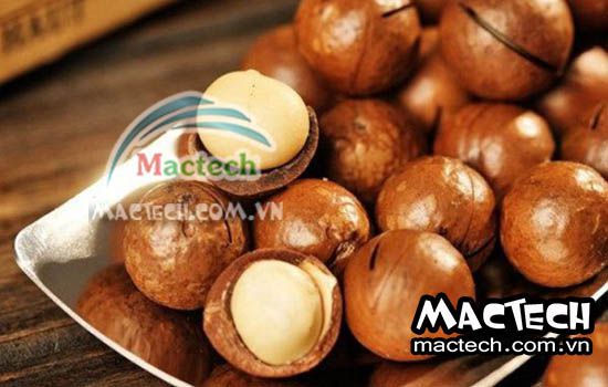 Hạt macca sấy bị vàng, bị hôi, nguyên nhân và hướng xử lý