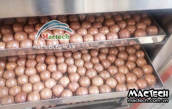 Hạt macca sấy lâu khô, nguyên nhân có phải do nhiệt độ