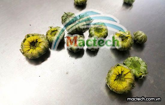 Máy sấy thăng hoa Mactech, sấy đông khô các sản phẩm cao cấp