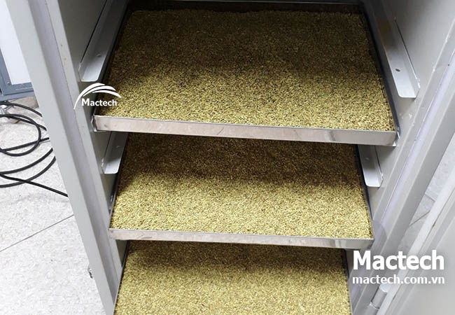 Trải nghiệm sấy thử miễn phí – kiểm chứng chất lượng máy sấy Mactech